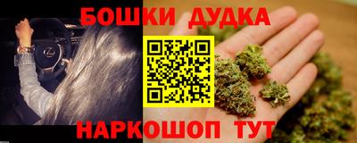 прущие грибы Новодвинск