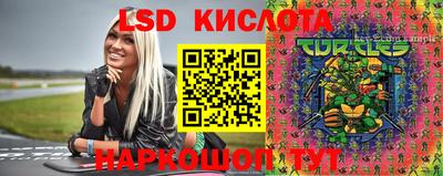 гидропоника Новозыбков