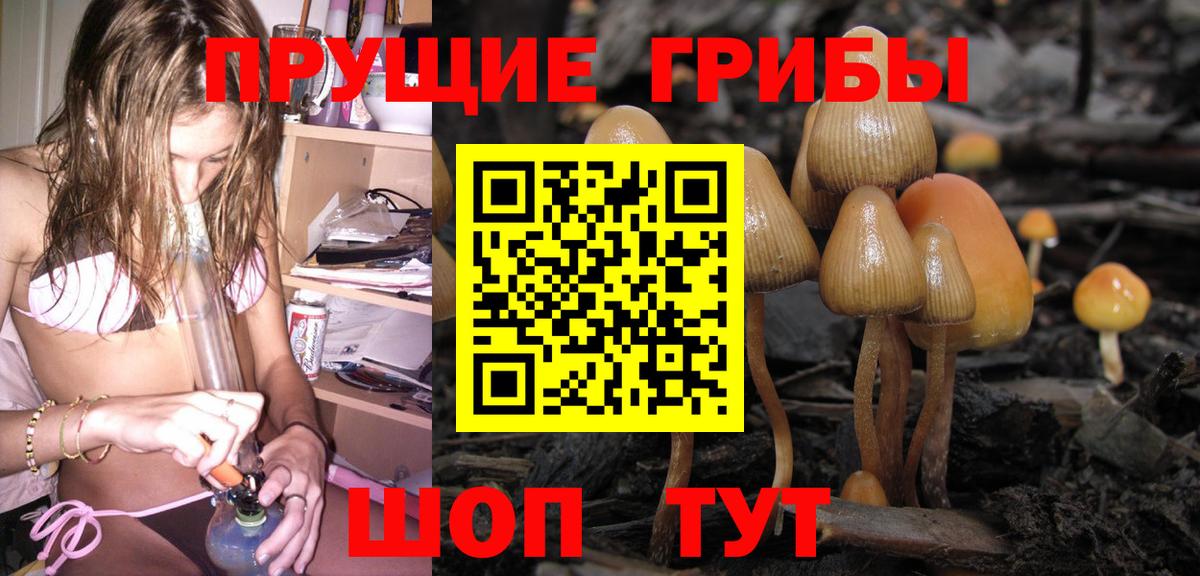 Псилоцибиновые грибы GOLDEN TEACHER  Вход с VPN  Тимашёвск 