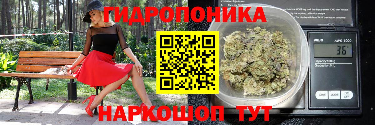 Шишки марихуана AK-47 Тимашёвск